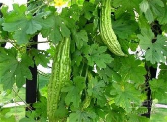 ���ʩ�ʼ��g