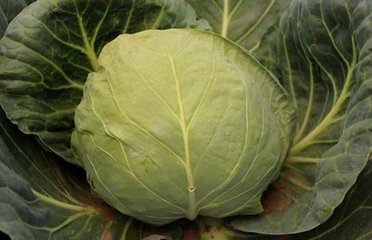 �Y����{�a���ͣ��Y����{ʩ�ʷ���