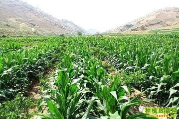 ���׿��������߲����͡����������������ڲ����S