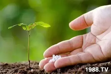 �����@���ã����������ۣ�߀������ӑ�îa(ch��n)���ʺ�