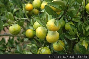 ��������ѹ� ��ע��ʩ��