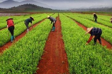 ��ˎ��ʩ�ʼ��g