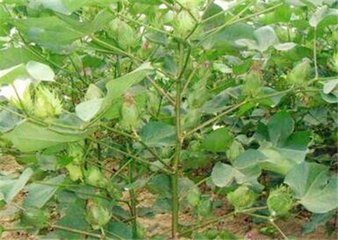 8�³��޻�������Ҫ���Ɔᣬ���ʽo���ٲź��m��