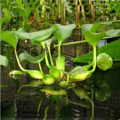 �����ˮ���J������ˎ�������ʣ��Ƀ���ˮ�|(zh��)