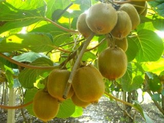 ����Ҫ���J�����������~�����g�Ź�ϴ�ʣ����ͷ��ϝ��