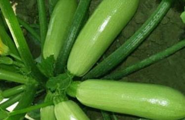 �����J��ôʩ�ʲ��ܸ߮a�������J�ƌWʩ�ʼ��g