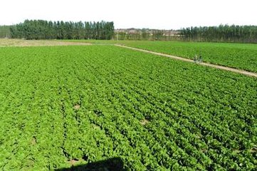 ������������9���c