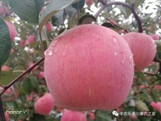 �O��׷���P�I�ڣ�����חlʡ�rʡ����С����