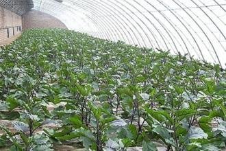 ����׷��Ч�����ã�����׷�ʷ���