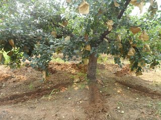 ��������׷�ʣ�������N׷�ʷ��������c��