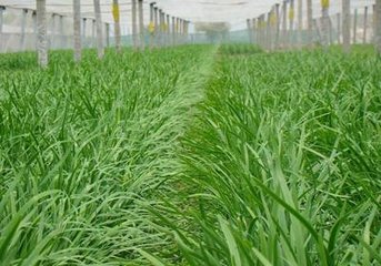 �²�ʩ��С���ɣ���Ҳ���Ó�(d��n)�ľ²��L����