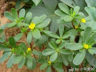 ���Ե׷ʸ������R�X�a�������׷ʣ�һ�겻��ʩ��