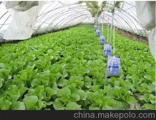 �����߲˞�ʲôҪ�a�������̼���