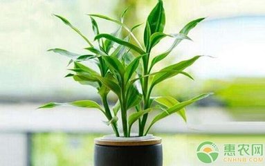 ���F���S�~��ô�k�����F��ʩ�ʼ���