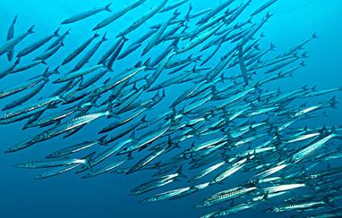 �~���׷���ʹ�÷������~���׷��ϵ�����