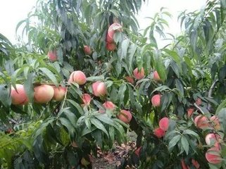 �Ҙ���ʩ���������E������\�Vȫ��