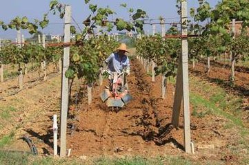 ʩ�׷ʞ�ʲôҪץס�＾���P�I�r�ڣ�