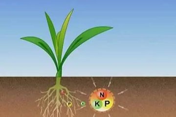 ��ΰlչ���ͷ��ϣ������˽���y���ϵı׶�