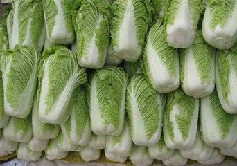 �ײ���߮a��ӛס�@4��׷�ʣ��ײ��벻�߮a���y