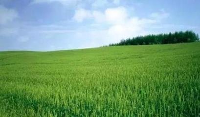 �_ʩ�ʞ�ʲô�����l�����Q