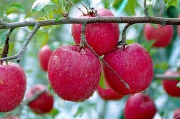 �O�����＾ʲô�r(sh��)��ʩ�ʺã�