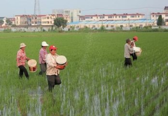 �＾ʩ�������׷���8���e�`��