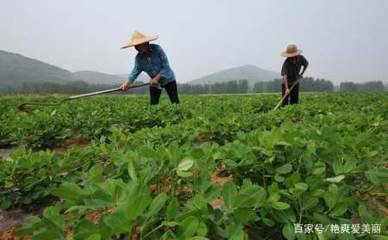 �r����ʩ�ʷ�ʽ���r�g�Լ�ʩ��Ҫ�c