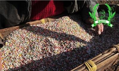 ���ʸ�ˮ��������Pϵ�᣿