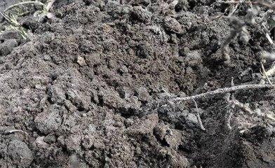 �ЙC�ʌ�������5������