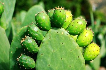 �����ƌ�(du��)���ϵ�Ҫ��