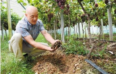 ʩ�ʲ�����ʲô���