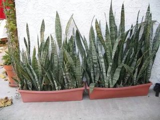 ���ӽo��Ƥ�mʩ��