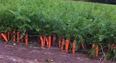 ���}���Nֲ���Ӹ������cʩ�ʣ���ԓ���׷�ʣ�