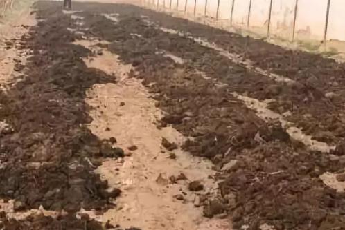 �u�S��ɣ�����Ʒ�ЙC(j��)�ʲ�ࣿ�����ܣ�����