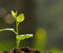 ����������⛡���Ҫ���������͸�ˆ�