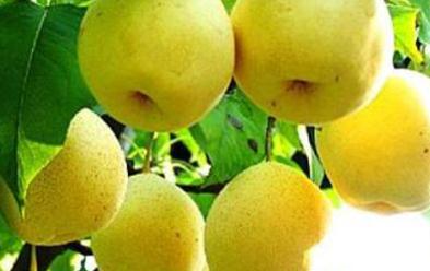 ���@ʩ������`�^(q��)