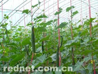 ���ѵι�ʩ�ʼ��g