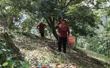 ��÷ʩ�ʼ��gҪ�c���ɹ���ԓ��ôʩ����