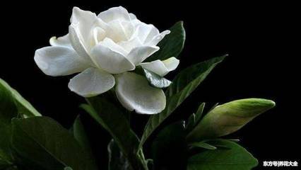 �d�ӻ�ʩ��ע�����