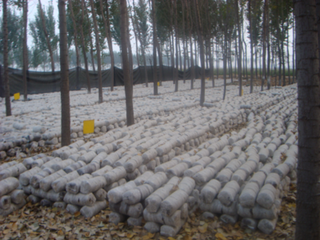 Ģ��ʩ����Ҫע����Щ���}��