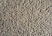 �쿴������V���ǲ��ǰ�ʩ����