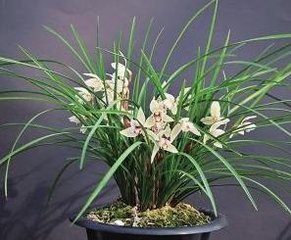 �m���~��ʩ�ʼ��g