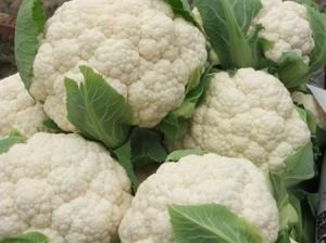 ��Ҭ��ʩ�ʷ���