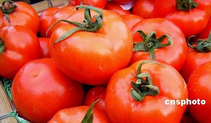 ����ʩ���~��ʵ�ע�����