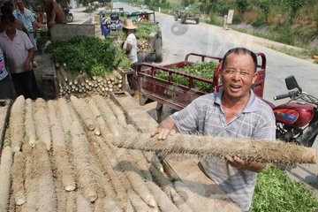 ɽˎ��������c(di��n)��ʩ�ʼ��g(sh��)