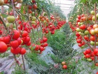 ����ʩ�ʼ���