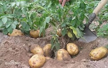 �����ڶ���ʩ����ʲô���ɣ�