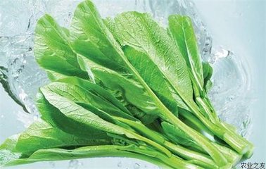 ����ʩ�ʼ��g