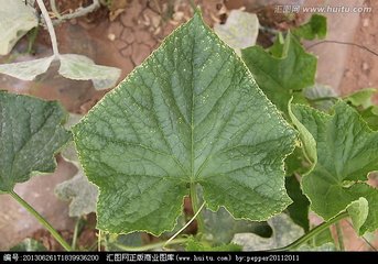 �S�ϡ�肽�߅����ԭ����ʩ�ʵĆ��}