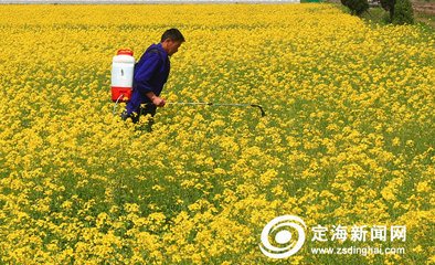 �Ͳ�Ҫ����ʩ��